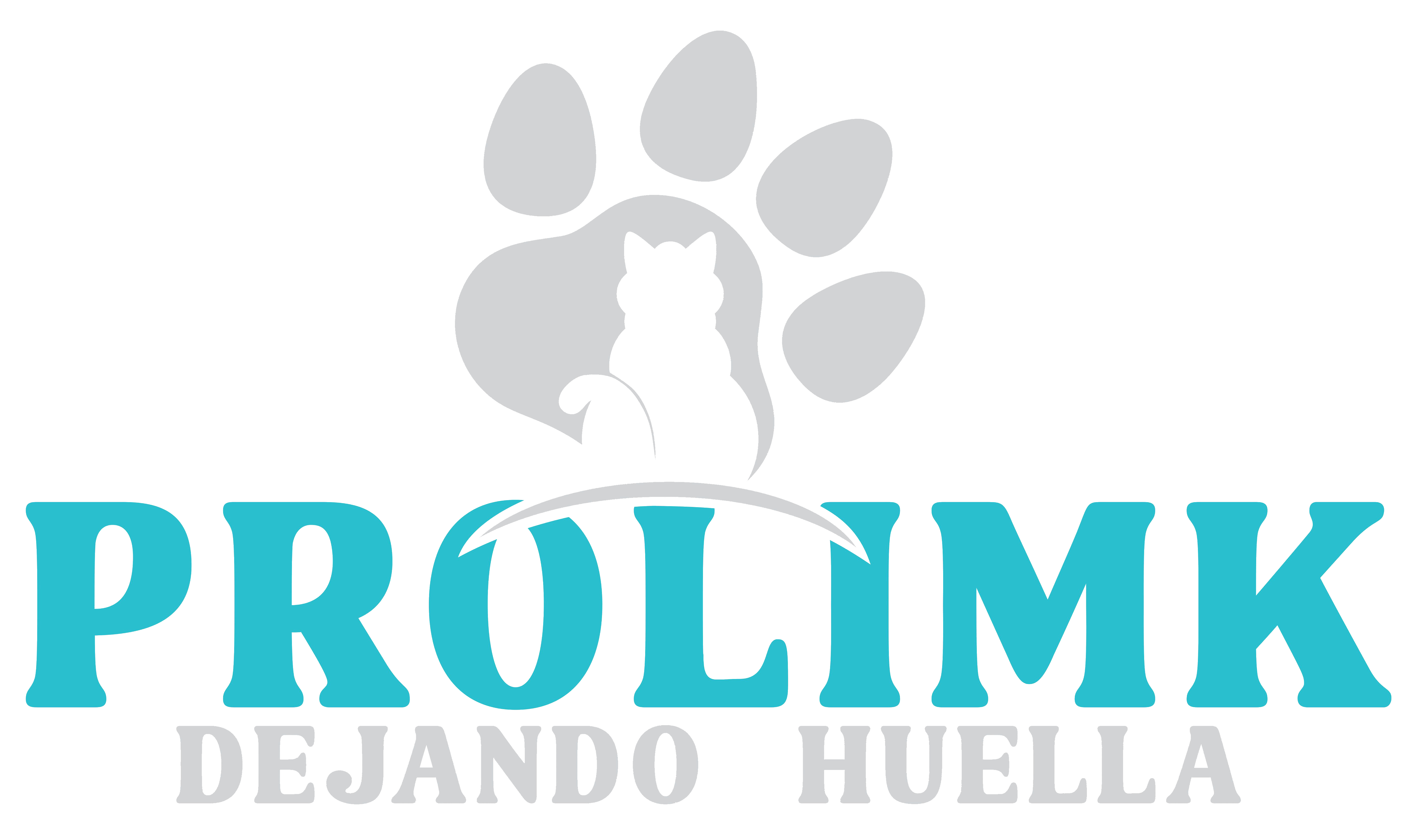 logo de la empresa Prolimk